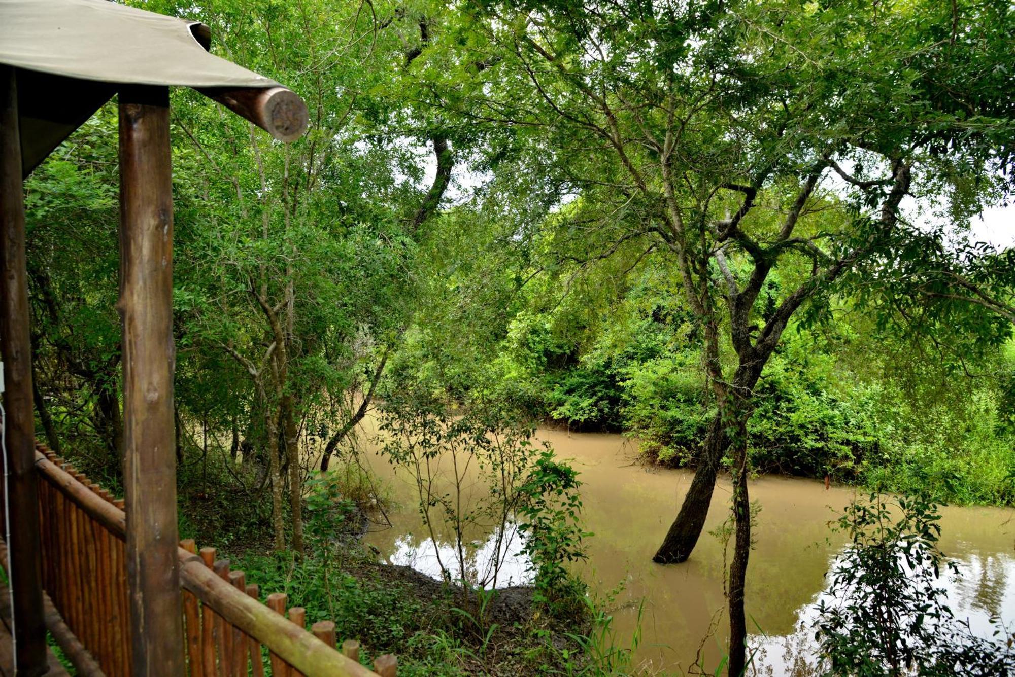 Kruger Safari Lodge محمية مانيليتي للطرائد المظهر الخارجي الصورة