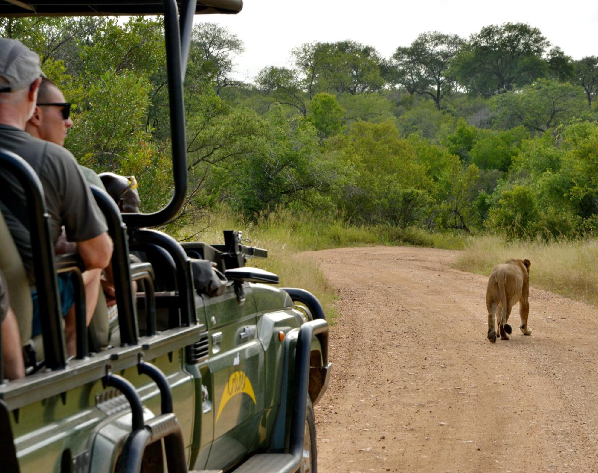 Kruger Safari Lodge محمية مانيليتي للطرائد المظهر الخارجي الصورة
